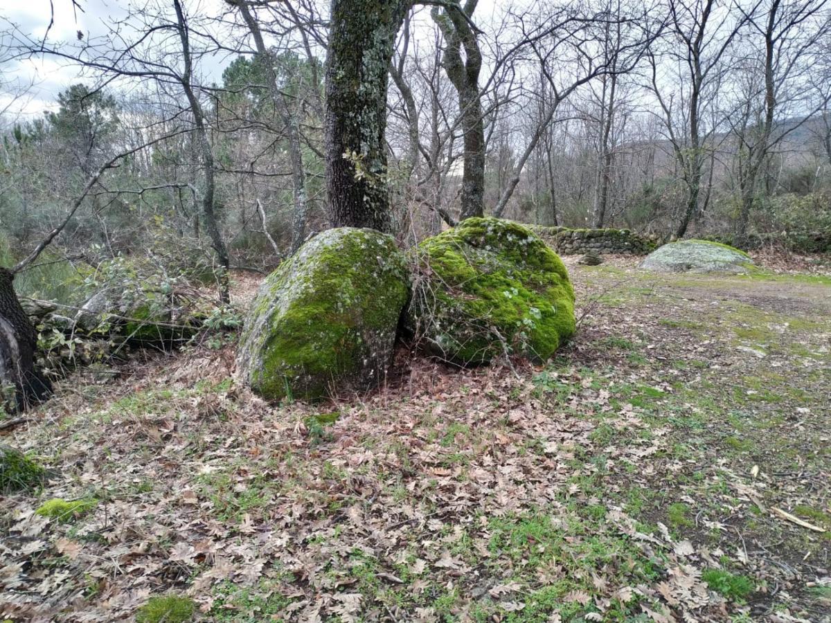 Casa Rural La Picota Valverde de la Vera 외부 사진