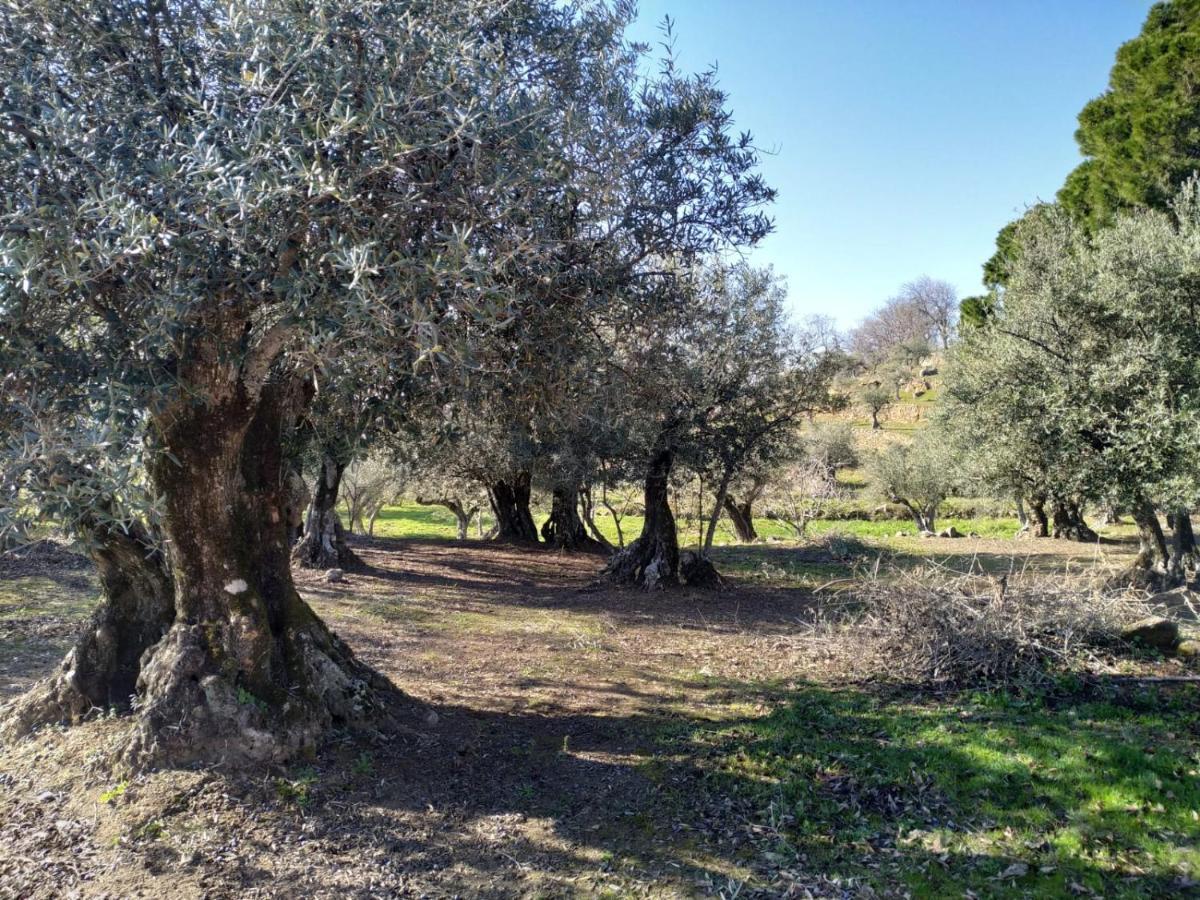 Casa Rural La Picota Valverde de la Vera 외부 사진