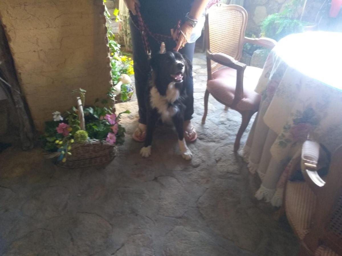 Casa Rural La Picota Valverde de la Vera 외부 사진